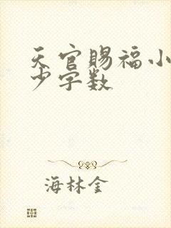 天官赐福小说多少字数