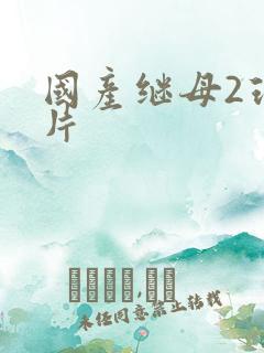 国产继母2理伦片