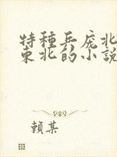 特种兵庞北穿越东北的小说