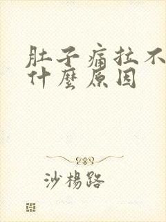 肚子痛拉不出尿什么原因