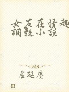 女友在情趣店被调教小说