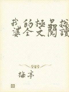 我的极品总裁老婆全文阅读