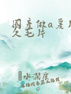 国产做a爰片久久毛片