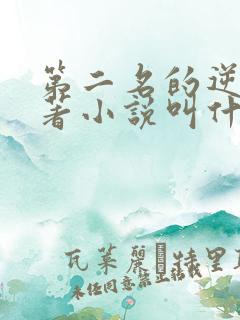 第二名的逆袭原著小说叫什么