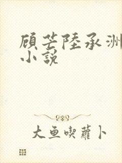 顾芒陆承洲免费小说