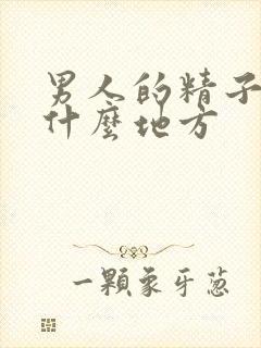 男人的精子射在什么地方