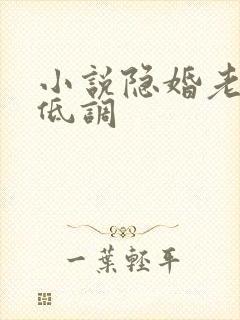 小说隐婚老公请低调