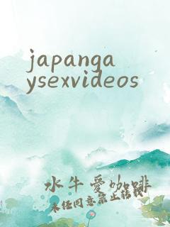 japangaysexvideos