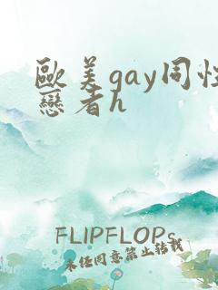 欧美gay同性恋者h