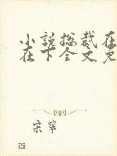 小说总裁在上我在下全文免费阅读