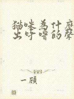 猫咪为什么会发出呼噜的声音