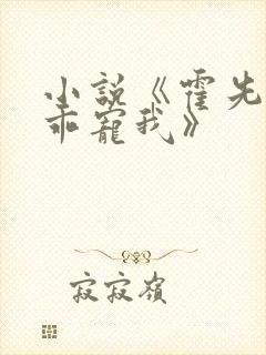 小说《霍先生乖乖宠我》