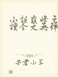 小说巅峰免费阅读全文无弹窗