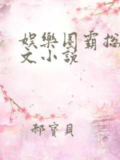 娱乐圈霸总甜宠文小说