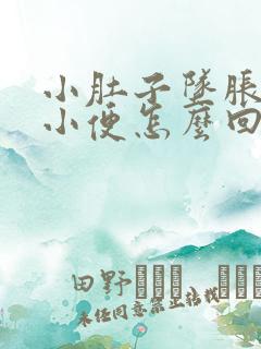 小肚子坠胀总想小便怎么回事