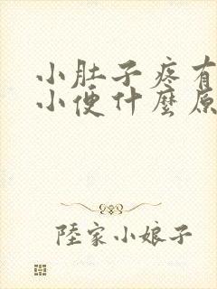 小肚子疼有点想小便什么原因