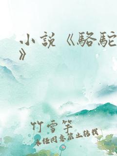 小说《骆驼祥子》