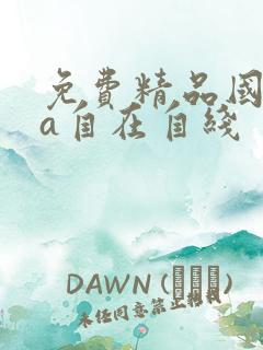 免费精品国产va自在自线