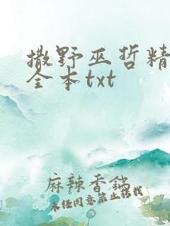 撒野巫哲精校版全本txt