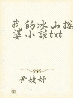我的冰山总裁老婆小说txt