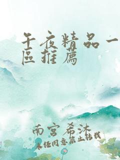 午夜精品一区二区推荐