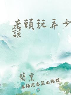 老头玩弄少妇小说