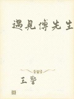 遇见傅先生完本