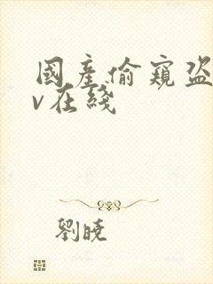 国产偷窥盗摄av在线