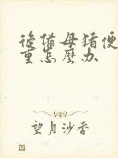 后备母猪便秘严重怎么办