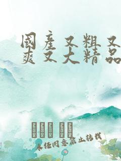 国产又粗又硬又爽又大精品