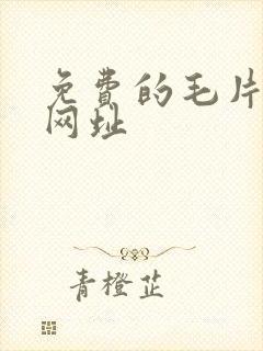 免费的毛片av网址