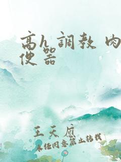 高h 调教 肉便器