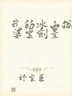 我的冰山总裁老婆云剑晨