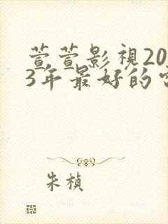 萱萱影视2023年最好的电视剧