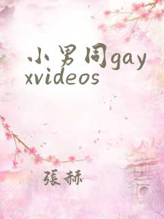 小男同gay xvideos