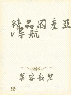 精品国产亚洲av导航