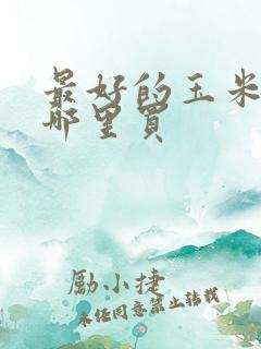 最好的玉米种子哪里买