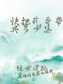 快把我哥带走一共多少集