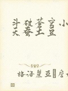 斗破苍穹小说 天蚕土豆