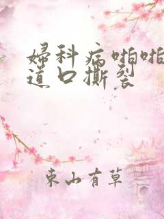 妇科病啪啪啪阴道口撕裂