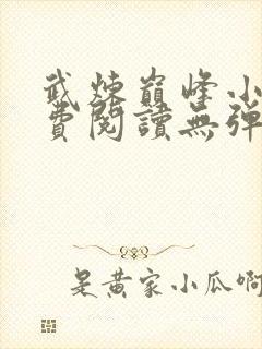 武炼巅峰小说免费阅读无弹窗笔趣阁