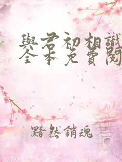 与君初相识小说全本免费阅读