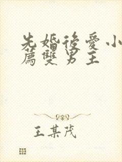 先婚后爱小说推荐双男主