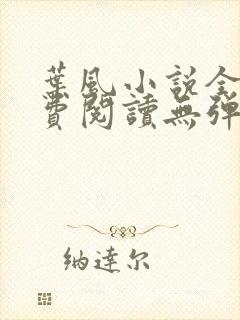 叶风小说全文免费阅读无弹窗