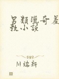 另类猎奇羞辱调教小说