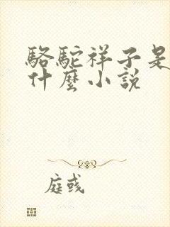 骆驼祥子是一篇什么小说