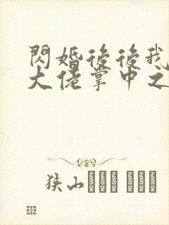 闪婚后后我成了大佬掌中之物