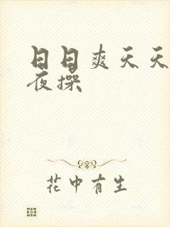 日日爽天天弄夜夜操