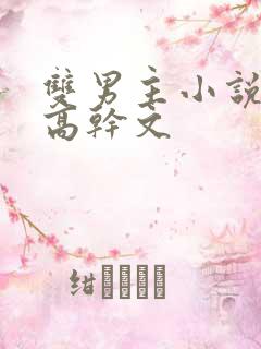 双男主小说推荐高干文