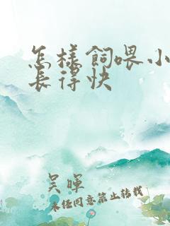 怎样饲喂小牛犊长得快